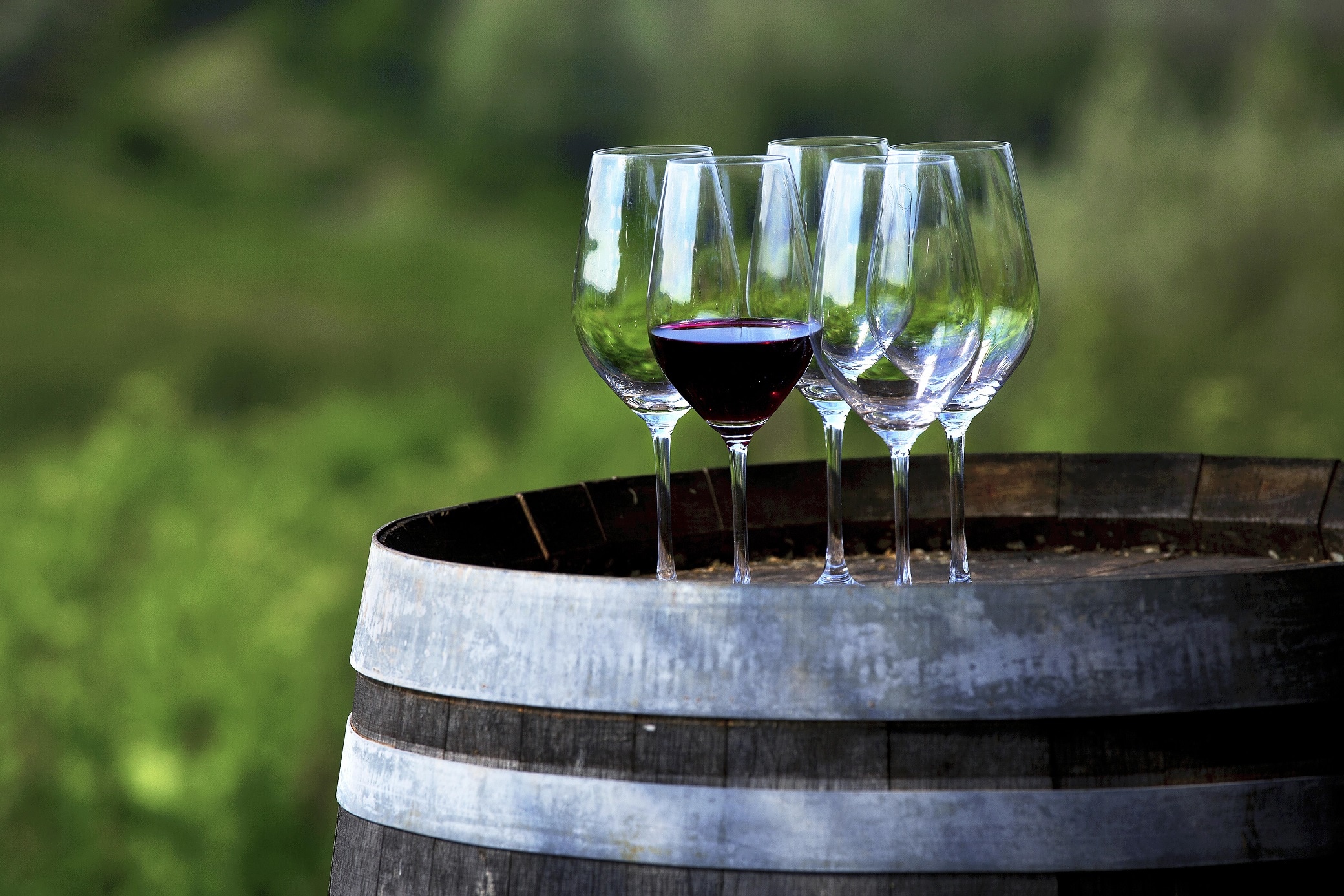 Vino, il turismo nelle cantine spinge le vendite dirette e attira i Millennials: i dati