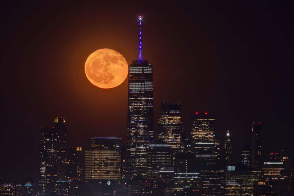 La Luna Piena dei Fiori illumina il cielo del 1° maggio 2026: orari, tradizioni e la rara Luna Blu in arrivo — image 2