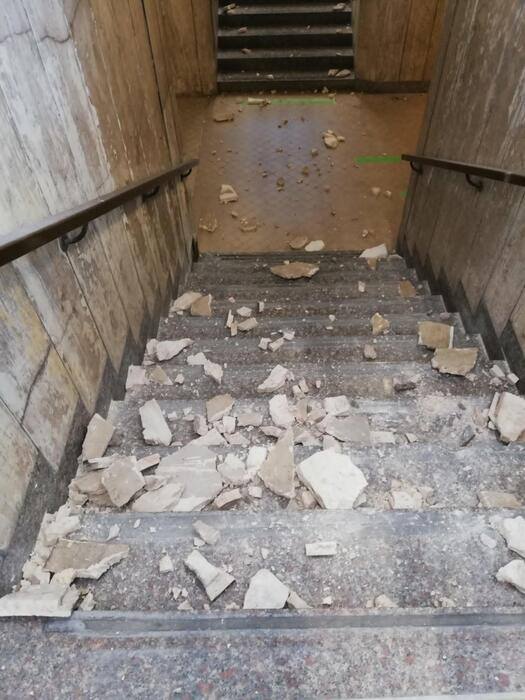 Terremoto Marche