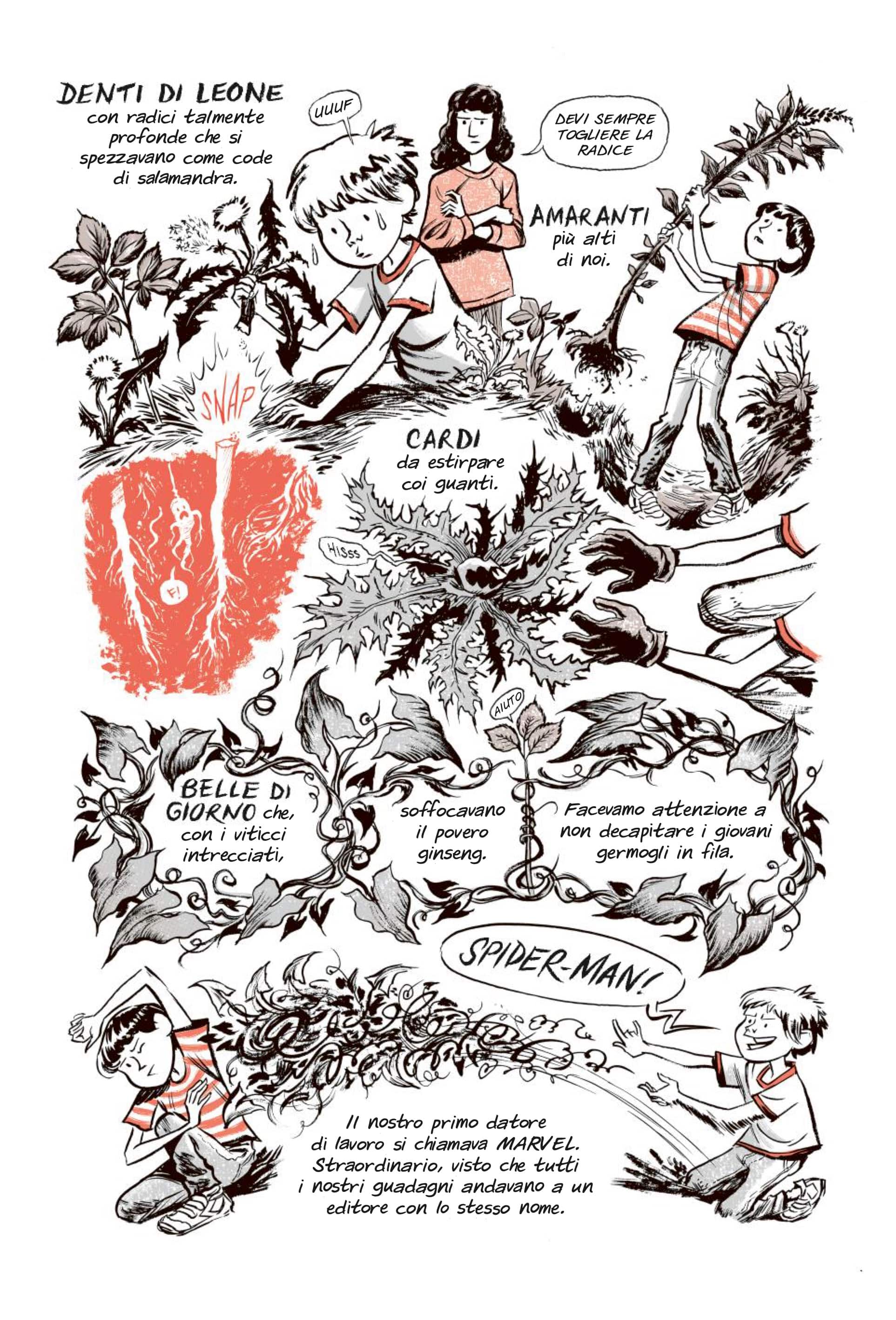 Una tavola estretta da Ginseng Roots di Craig Thompson (Rizzoli Lizard)