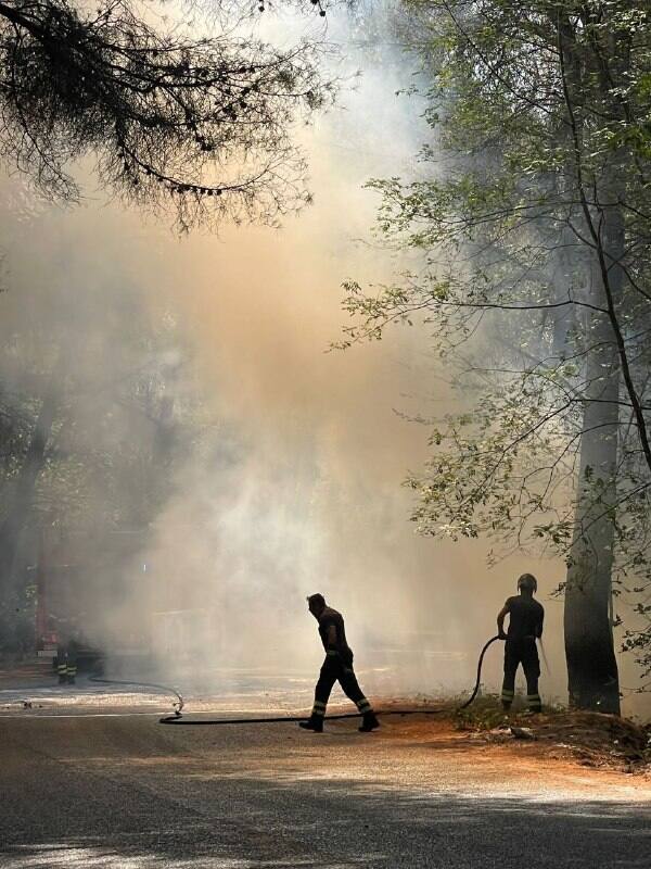 L'incendio nel Savonese