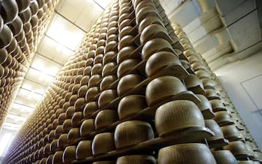 Parmigiano Reggiano. 
L'agroalimentare Made in Italy rischia di pagare un conto salatissimo, circa un miliardo di euro, dopo il verdetto del Wto che ha ufficializzato l'entità delle compensazioni che gli americani potranno chiedere all'Ue per gli aiuti illegali a Airbus: 7,5 miliardi. La lista dei prodotti interessati dalle misure ritorsive - che potrebbero arrivare ad aumenti tariffari anche del 100 per cento - non è stata definita oggi. Tra una decina di giorni la commissione statunitense Dsd dovrebbe esprimersi su come rastrellare questi 7,5 miliardi, ma a tremare sono i produttori dei simboli della tavola italiana, le cui esportazioni negli Usa valgono 4,2 miliardi euro.
ANSA