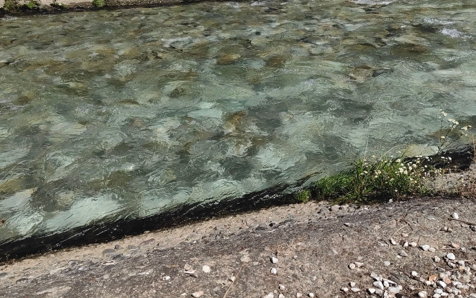 Macedonia del Nord, oltre 1.500 intossicati dall'acqua a Gostivar: dichiarata epidemia