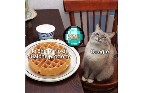 Magnete Da Frigorifero Con Meme Di Gatto &ndash; Divertente E Originale, Made In USA