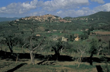 Castagneto Carducci