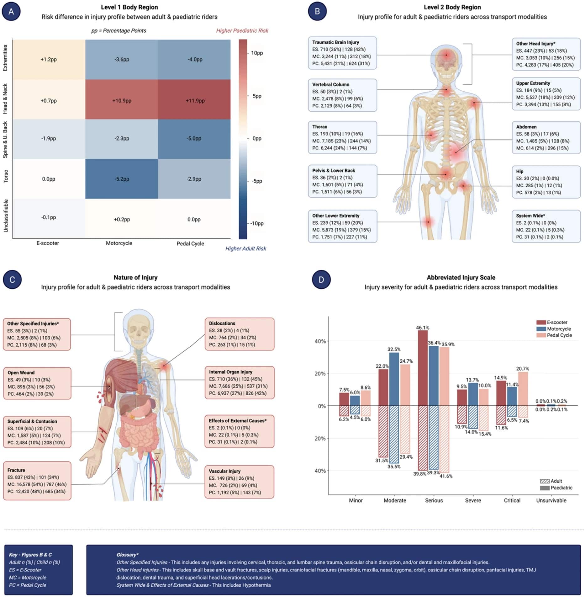 L'immagine dello studio con le zone del corpo più interessate da lesioni in caso di incidenti in monopattino