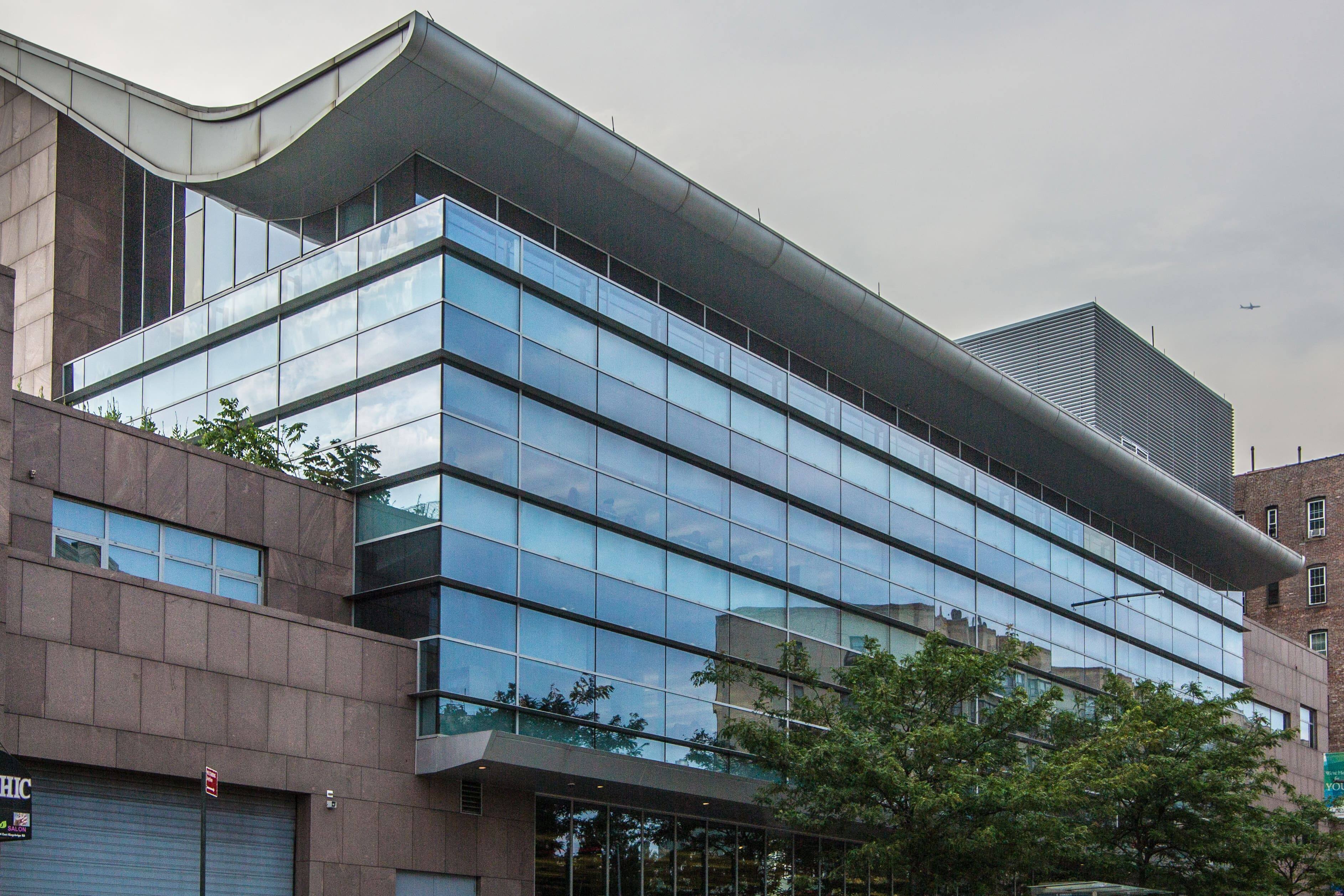 bronx library
