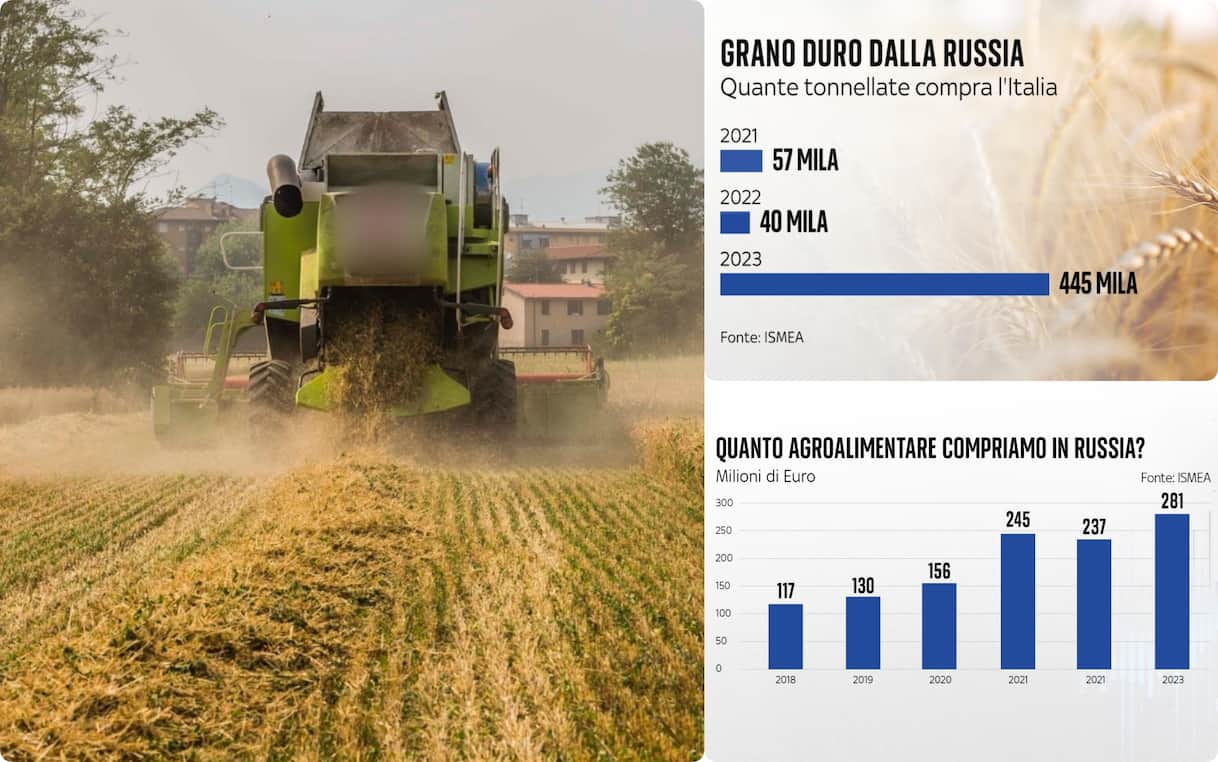 Grano russo, importazioni in aumento Italia: 445 mila tonnellate nel ...