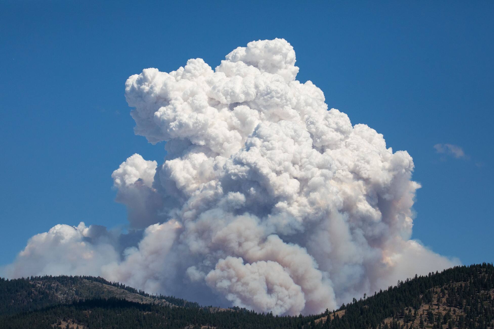 Nevada, incendio "Hawk Fire" a Reno