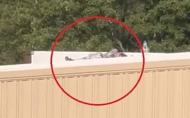 attentatore trump screenshot