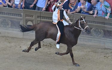 Il cavallo Benitos con il fantino Dino Pes, 2024
