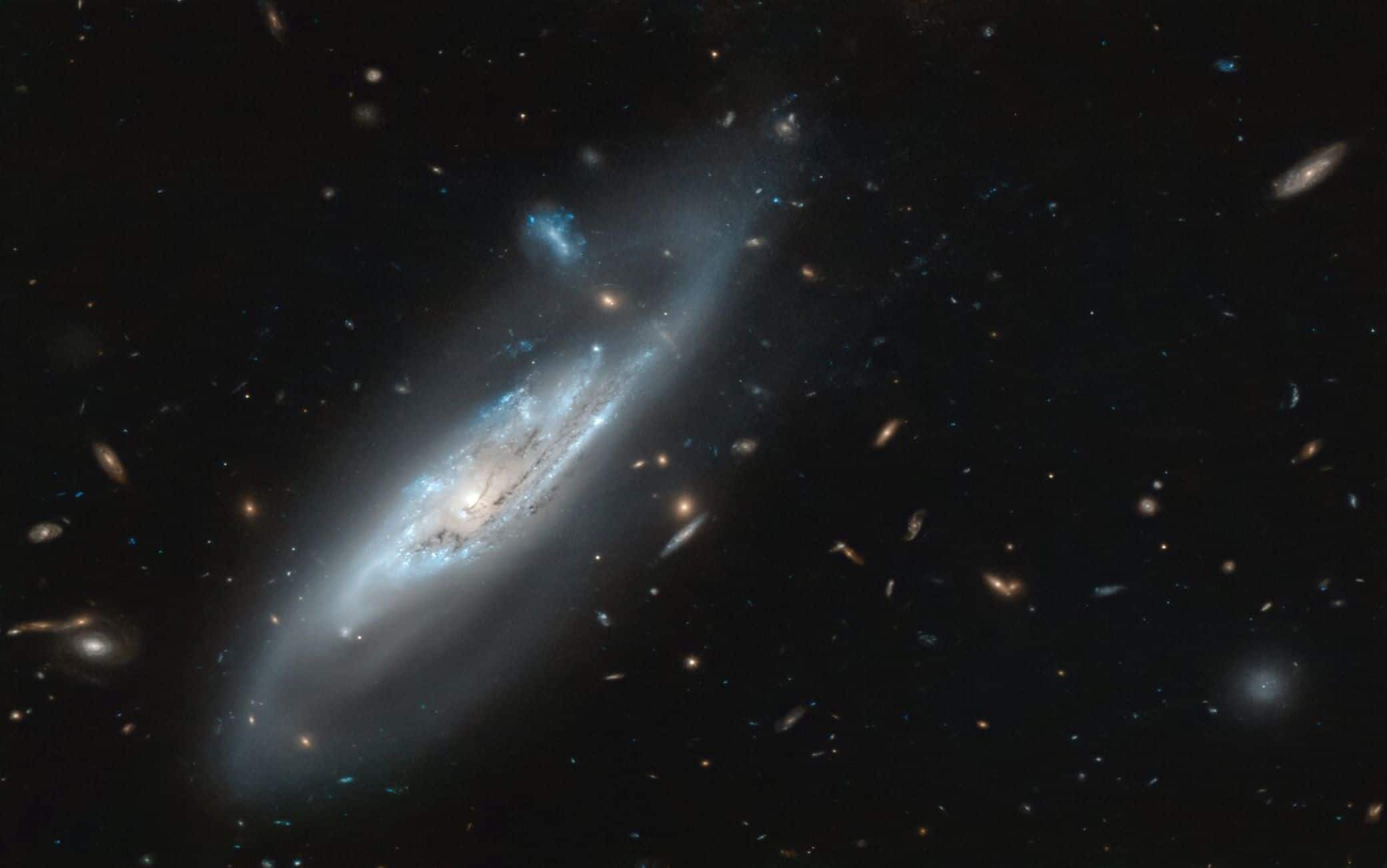 La galassia NGC 4848