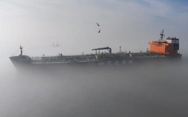 NETHERLANDS SHIPPING