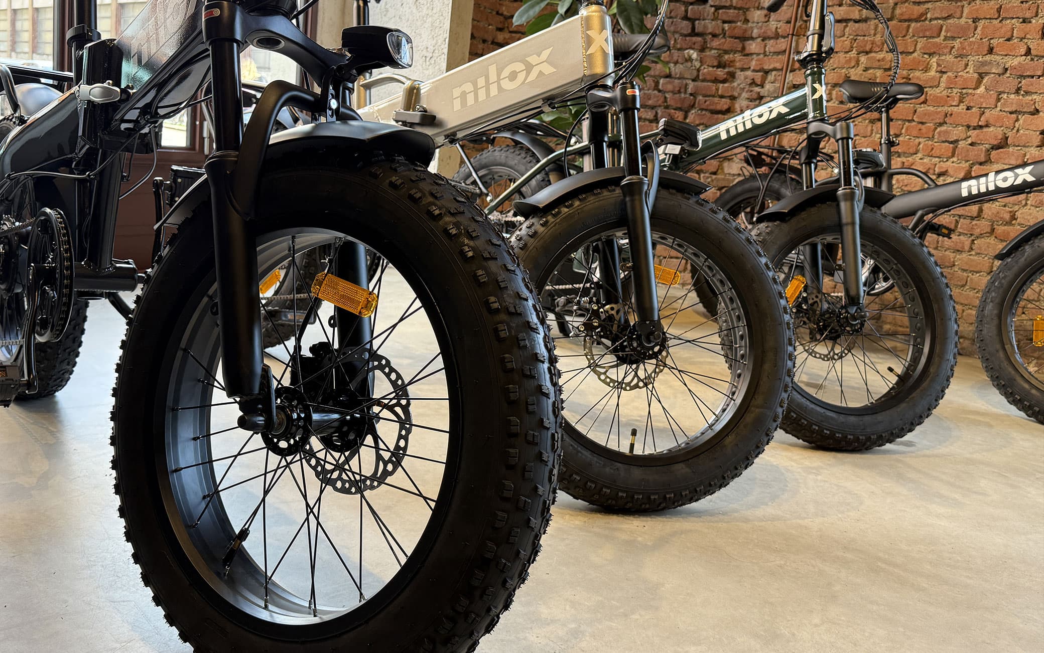 Le e-bike della categoria “fat”