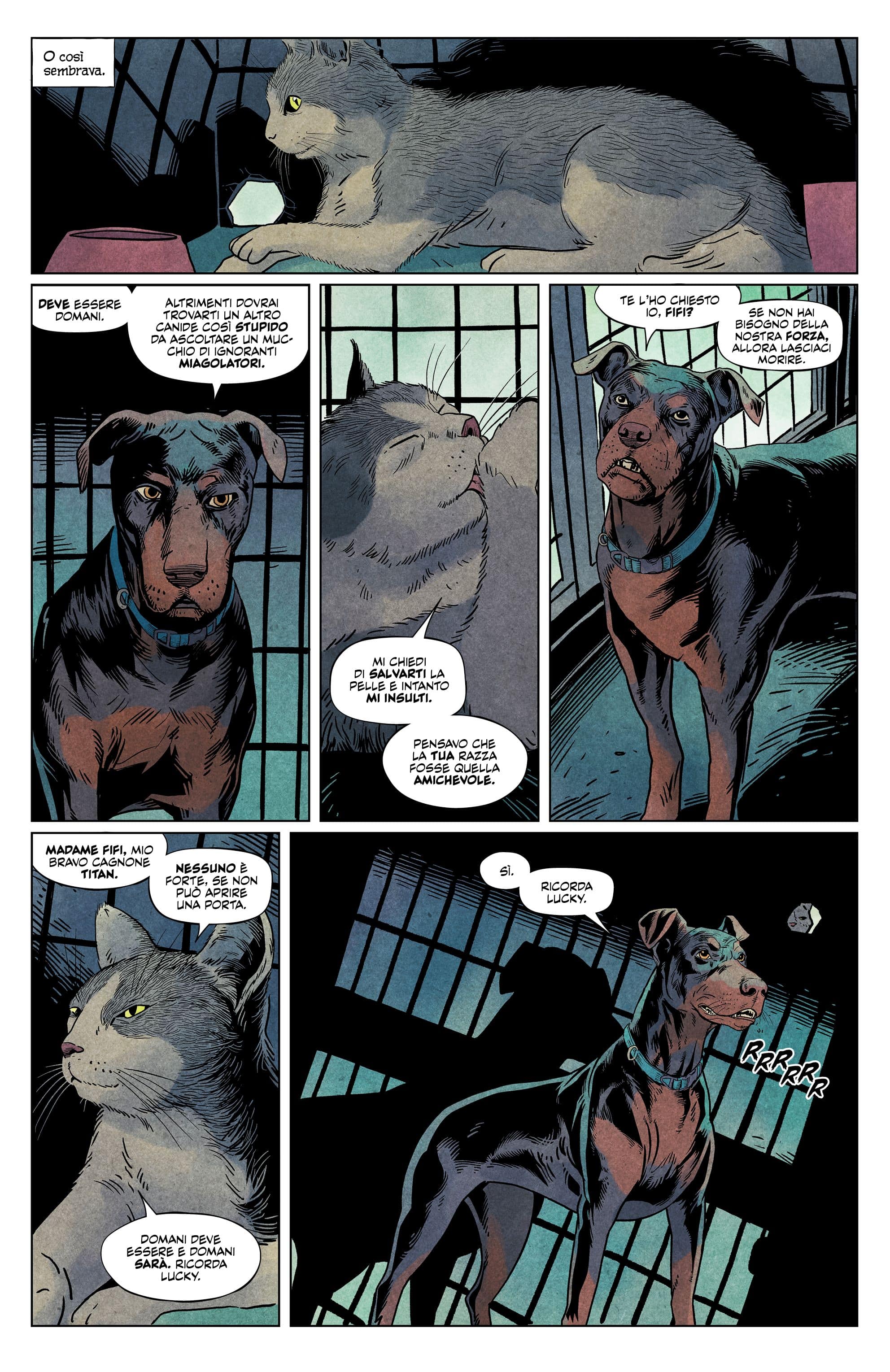 Una tavola tratta da Animal Pound di Tom King e Peter Gross (BAO Publishing)