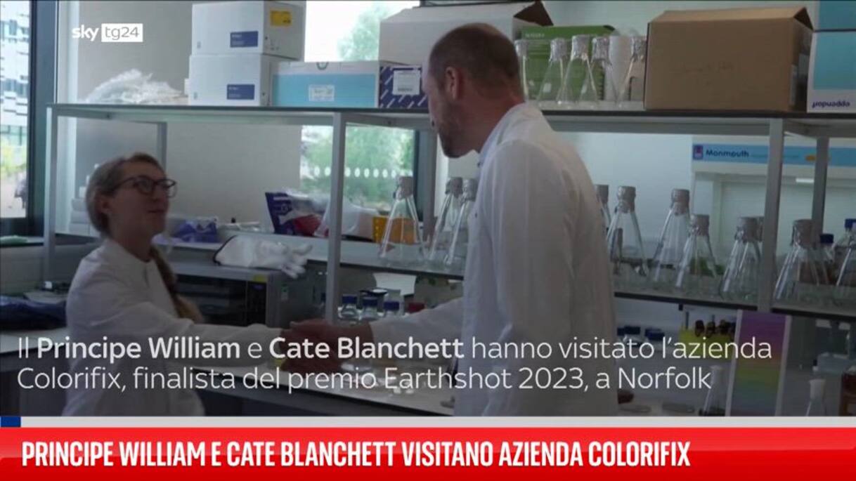 Principe William e Cate Blanchett visitano azienda Colorifix | Video ...