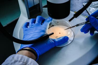 Microscopio di laboratorio