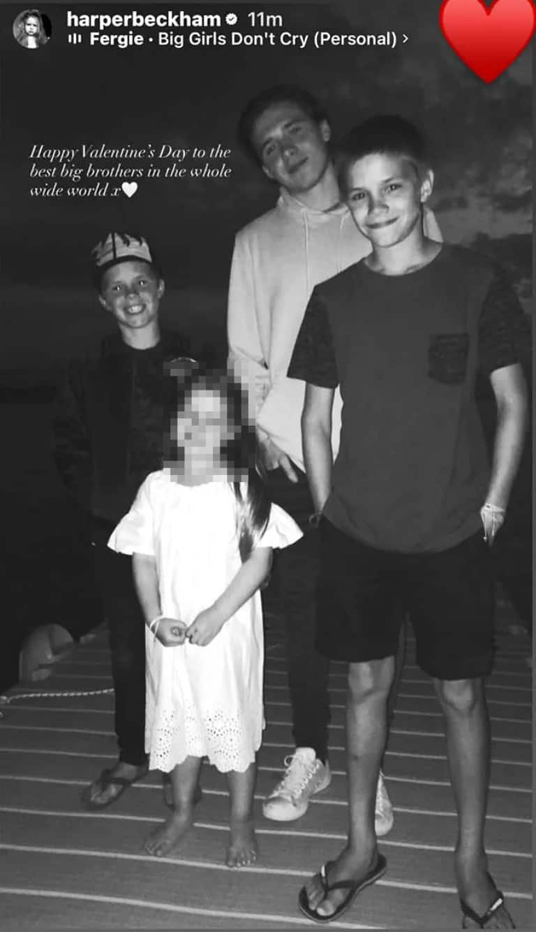 Harper Beckham fratelli