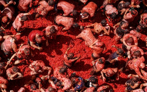 IPA87805281 - August 26, 2026, BuÃ±Ol, Valencia (Valencian Comm, Spain: Several participants in the Tomatina festival in BuÃ±ol celebrate during the event on 26 August 2026, in BuÃ±ol, Valencia, Valencian Community (Spain). La Tomatina is always held on the last Wednesday in August, as part of BuÃ±olâ€™s festival week, and involves participants throwing tomatoes at one another. Seven lorries were needed to transport the 150,000 kilos of tomatoes that were thrown in this unusual battle, which this year marks its 79th anniversary.[**********]..26 AUGUST 2026;CELEBRATIONS;TRADITION;FESTIVAL;EVENT;CULTURE..Rober Solsona / Europa Press..08/26/2026 (Credit Image: © Rober Solsona/Contacto via ZUMA Press)