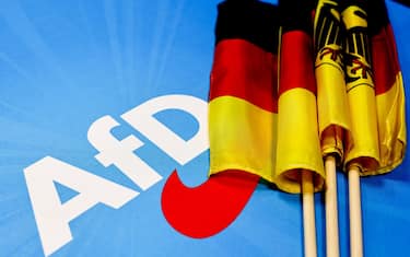 Il logo di AfD