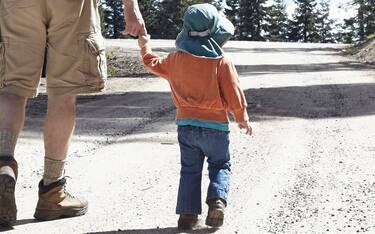 Rear view of father and daughter, holding hands walking through forest in Oregon, USA