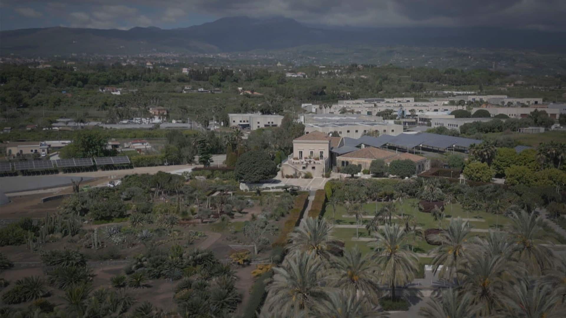 Radicepura Festival a Giarre