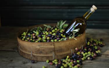 olio oliva