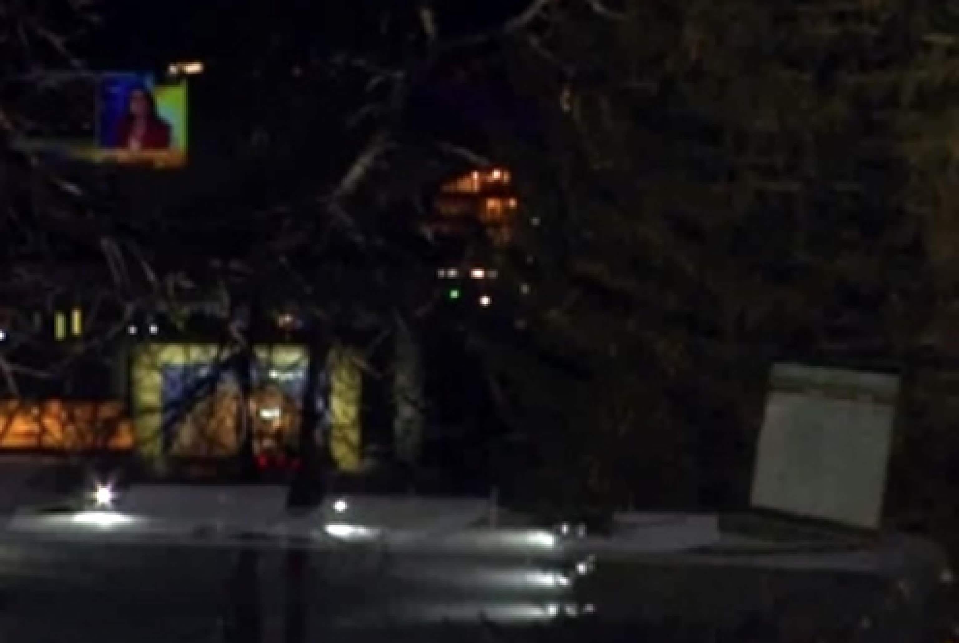 A Davos incendio in un chiosco fuori dal Wef, per i pompieri tutto risolto