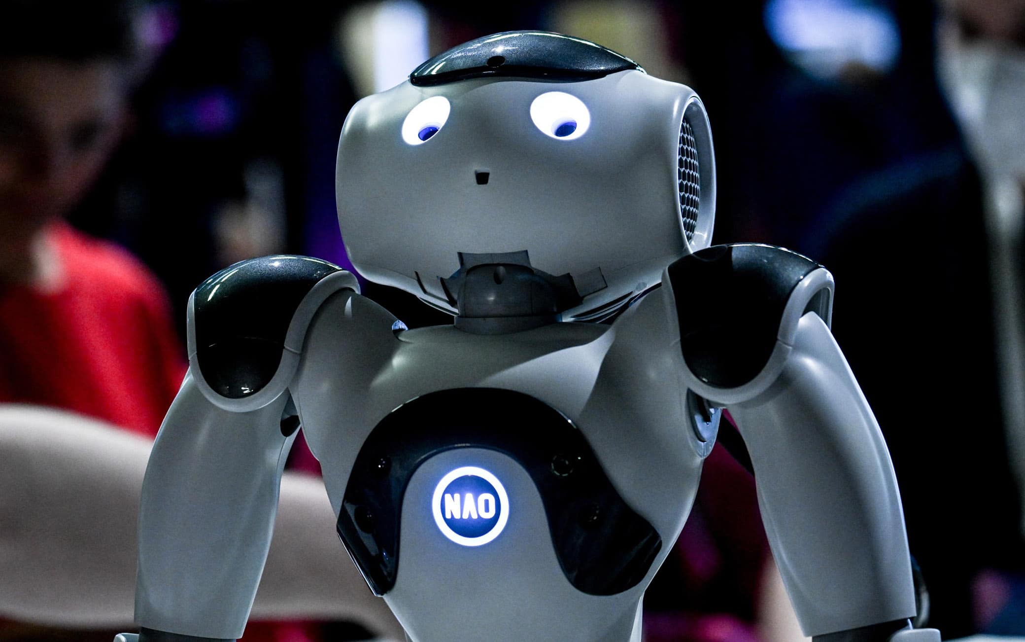 Il robot Nao