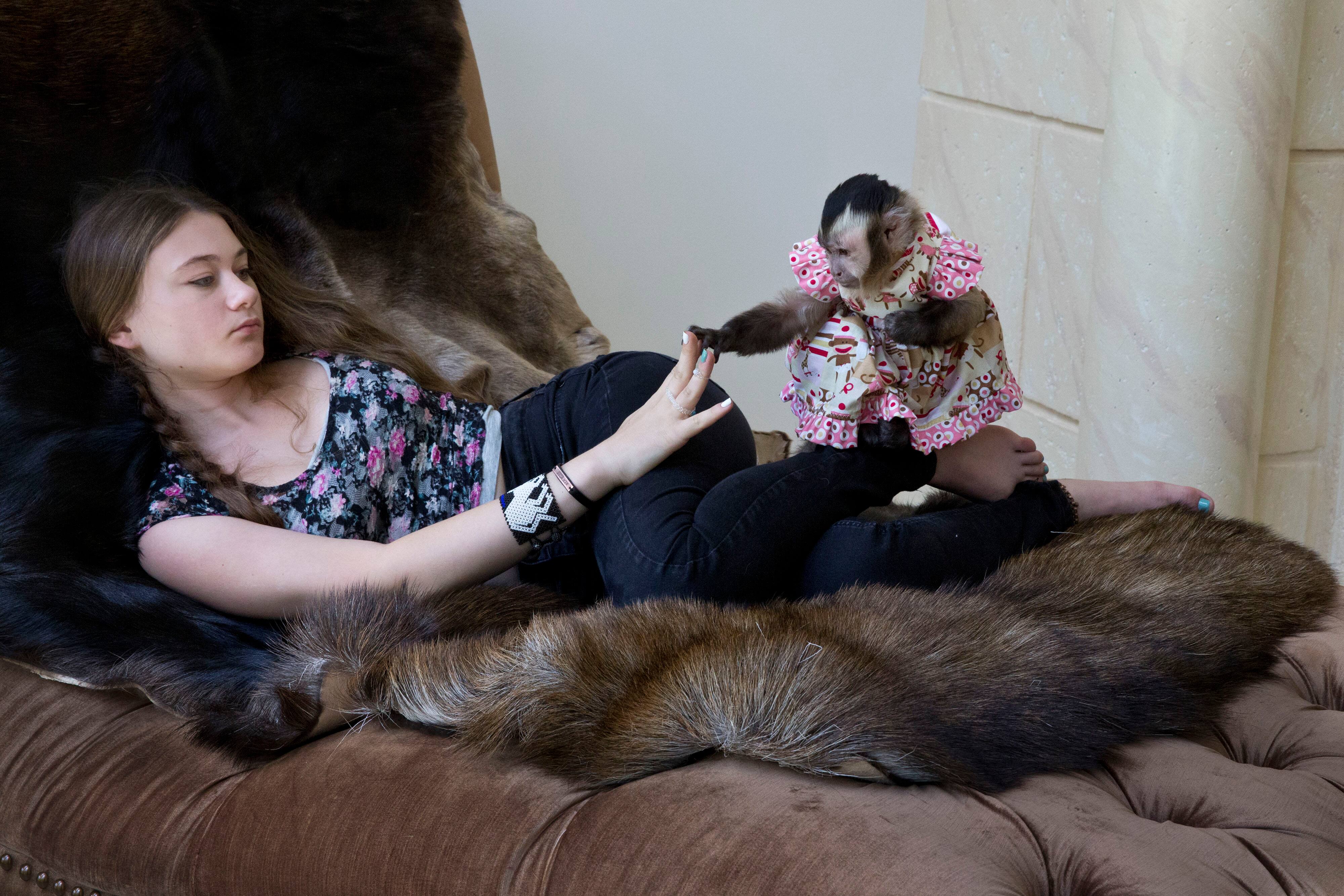 "Amelia & The Animals"