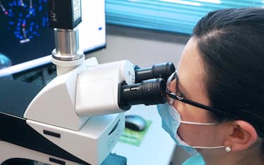 Laboratorio