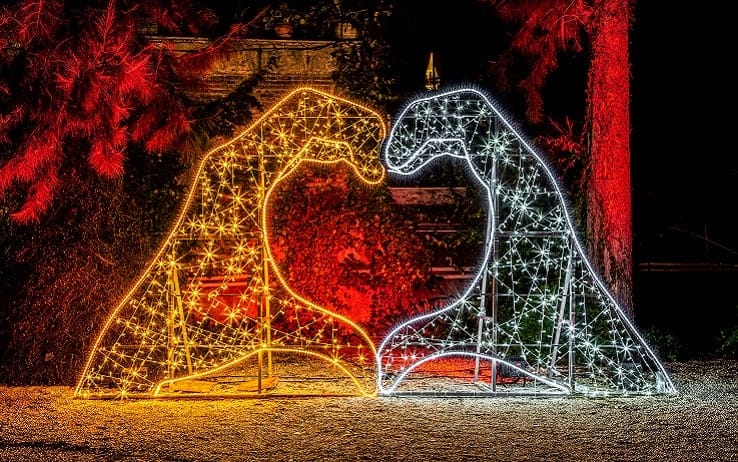 Una delle installazioni all'Orto Botanico di Roma