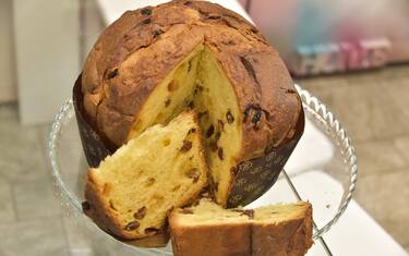 Panettone