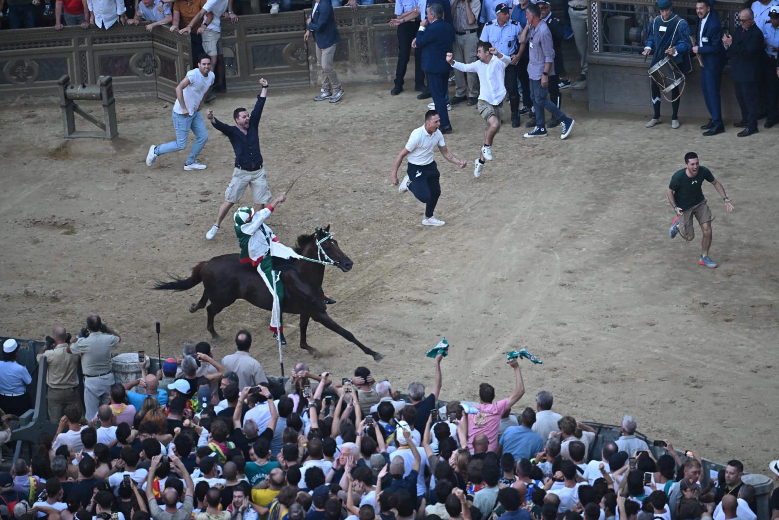 La contrada dell'Oca con il fantino Giovanni Atzeni detto Tittia, sul cavallo Diodoro, ha vinto stasera il Palio di Siena dedicato alla Madonna di Provenzano. Sdiena, 3 luglio 2025. ANSA / CLAUDIO GIOVANNINI