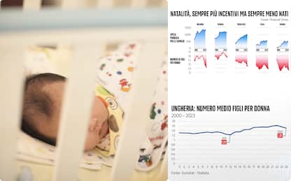 Gli aiuti alla natalità: il confronto tra Italia e resto d'Europa