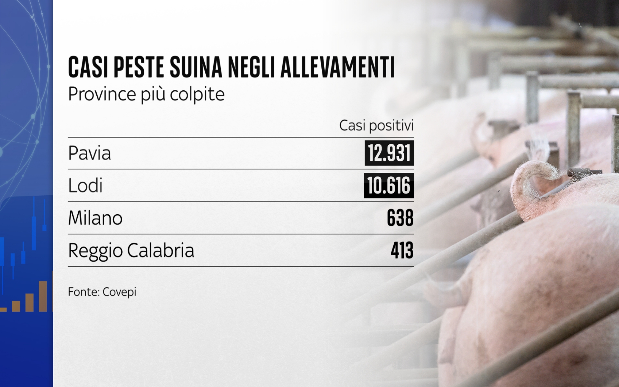 Peste Suina In Italia Quanti Sono Gli Animali Abbattuti Finora Dati E Peste Suina In Italia Quanti Sono Gli Animali Abbattuti Finora Dati E