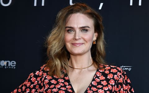 IPA49149767 - Mandatory Credit: Photo by Scott Kirkland/Shutterstock (14669507f).Emily Deschanel.'Continue' Screening, IPIC, Westwood, California - 28 Aug 2024