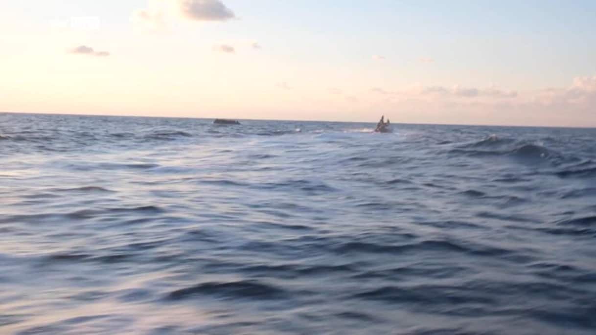 Sea watch salva 44 profughi, tribunale dichiara illegittimo fermo Mare Jonio