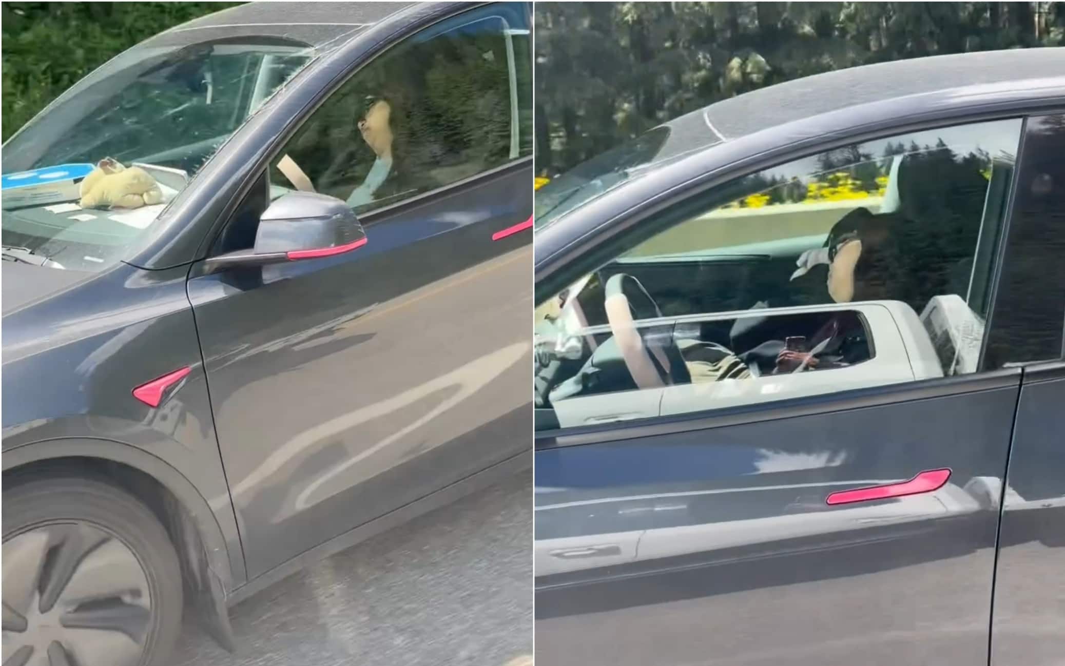 Donna dorme al volante della Tesla