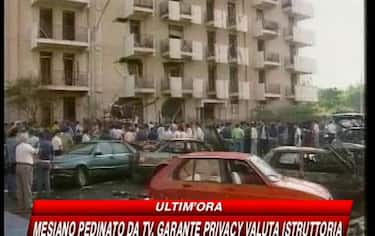 img_papello17_548x345
