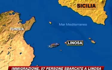 img_linosa7_548x345