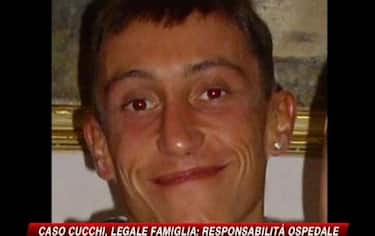 img_cucchi21_548x345