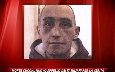 img_cucchi19_548x345