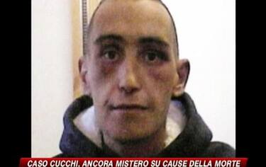 img_cucchi12_548x345