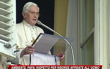 img_papa19_548x345