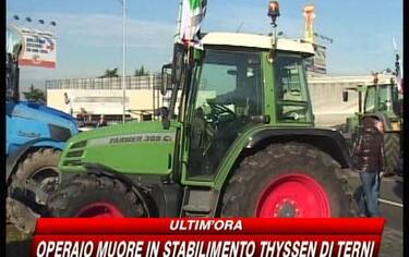 img_trattori13_548x345