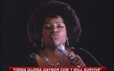 img_gaynor_548x345