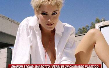 img_stone_548x345
