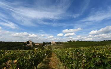 Getty_Images_Agricoltura_Italia