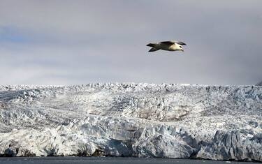 Getty_Images_-_mare_artico_riscaldamento